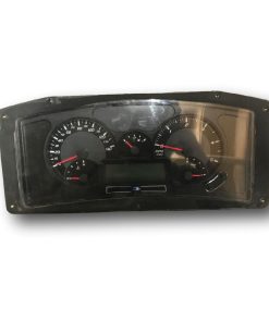 10020257 Instrument Cluster Bluer Bird Vision